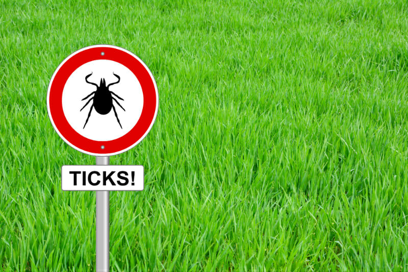 Tick warning sign in front of tall green grass warning people that tick season is here
